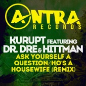 Ask Yourself a Question / Ho's a Housewife (Remix) [feat. Dr. Dre & Hittman] - EP artwork