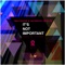 It's Not Important - Balthazar, Jackrock & DJ 19 lyrics