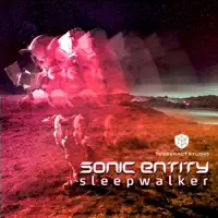 Forbidden Fruit (Sonic Entity Remix)