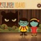 Ceiling Mirror - Pete Bush and the Hoi Polloi lyrics