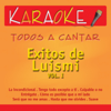 Todos a Cantar - Karaoke: Éxitos de LuisMi, Vol. 1 (Karaoke Version) - Hernán Carchak