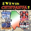 Viva Chihuahua