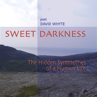 Sweet Darkness: The Hidden Symmetries of a Human Life