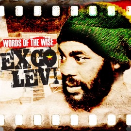 Save the Music Exco Levi