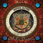 Melodic Perception