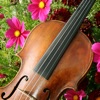 Ashokan Duo - Ashokan Farewell