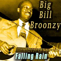 Falling Rain - Big Bill Broonzy