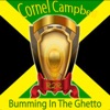 Bumming in the Ghetto - Single