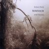 Somnium (Full Version) - Robert Rich