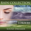 Rain Collection - 3 Hours