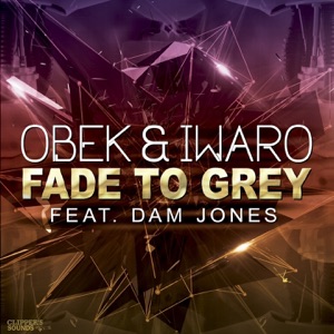 Fade to Grey (feat. Dam Jones) - Single