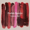 Prefab Sprout