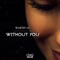 Without You (Vinjay Extended Remix) - Martin Lu lyrics