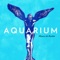 Aquarium (Oxford Remix) - Housse de Racket lyrics