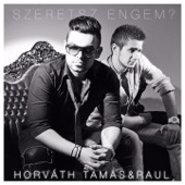 Szeretsz Engem?! artwork