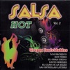 Salsa Hot, Vol. 2