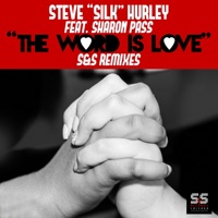 The Word Is Love (S&S Remixes) - Steve 