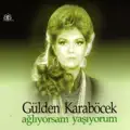 Tek Sevenim Sen Olsan