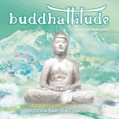 Buddhattitude Himalaya artwork