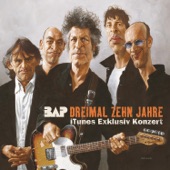 Dreimal zehn Jahre (iTunes Exklusiv Konzert) artwork