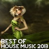 Best of House Music 2013