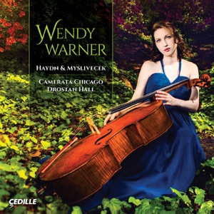 Cello Concerto No. 2 in D Major, Hob.VIIb:2: I. Allegro moderato