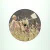 New Phunk Theory - Honey Falls