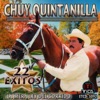 Chuy Quintanilla