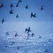 Kessler - Field Harmonics lyrics