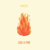 Like a Fire, 2014
