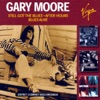 Gary Moore - Cold Day In Hell
