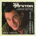 הנערה מאיפנימה