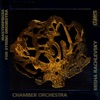 Chamber Orchestra Kremlin & Misha Rachlevsky - Nocturne 2