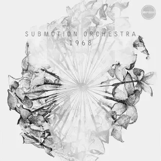 Breathe It In by Submotion Orchestra song reviws