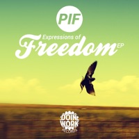 Expressions of Freedom - Single - P.I.F.