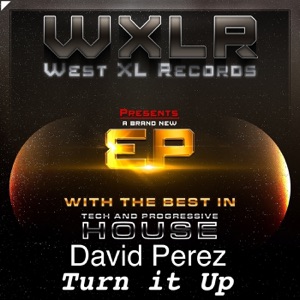 Turn it Up - Single