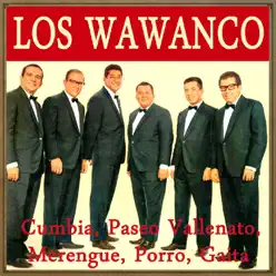 Cumbia, Paseo Vallenato, Merengue, Porro, Gaita (feat. Hernan Rojas) - Los Wawanco