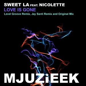 Love Is Gone (feat. Nicolette) - Single