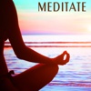 Meditate - Paul Avgerinos