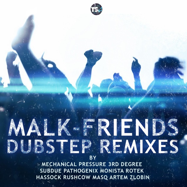 Friends (Dubstep Remixes)
