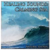 Healing Sounds: Calming Sea - Single