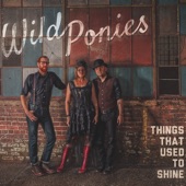 Wild Ponies - Things That Used to Shine