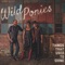 Broken - Wild Ponies lyrics