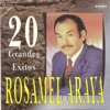 20 grandes exitos