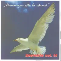 Roada Duhului — Speranta