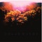 Tunnels - Solar Halos lyrics