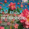 Erik Bosgraaf & Inmaculada Muñoz Jiménez - Violin Concerto No. 4 in F Minor, RV. 297 "L'inverno": II. Largo