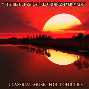 Concerto for Violin in D Minor, Op. 47: II. Adagio di molto (Excerpt)