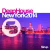 Passenger 10 - What a Feeling (Calippo Remix)