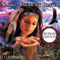 Shamanic Journey`s End